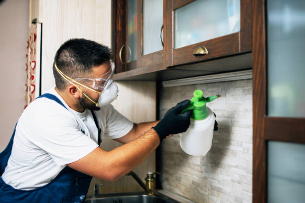 Professional Pest Control in Dillon, CO