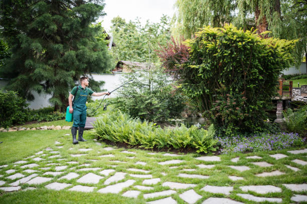 Best Pest Removal Services  in Dillon, CO