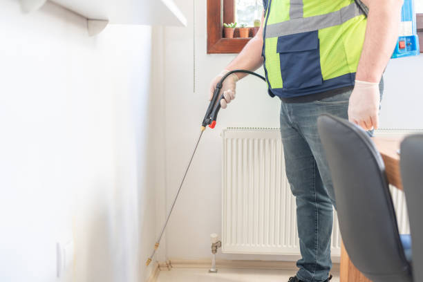 Best Pest Control Near Me  in Dillon, CO